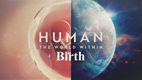 Birth